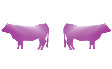 Maison Lafaye